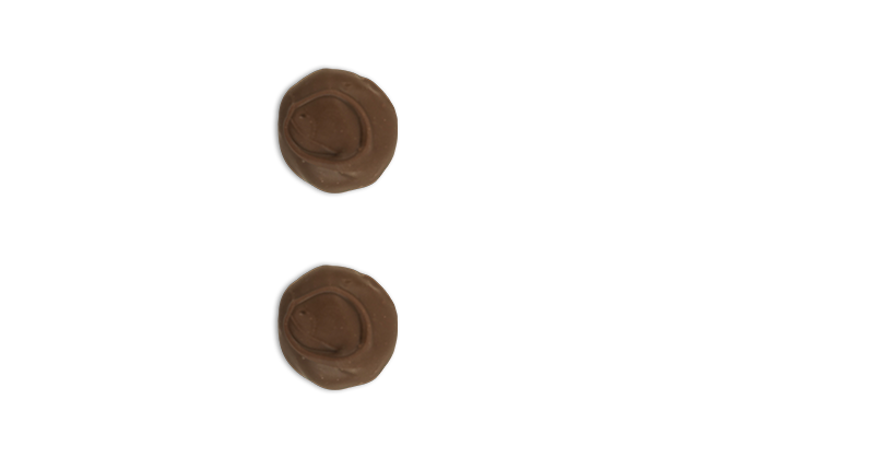 MILK DOUBLE CHOCOLATE