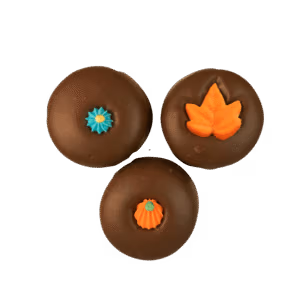 Double Stuff Chocolate Covered OREO COOKIE
