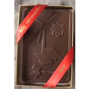 EDP Renewables Mold